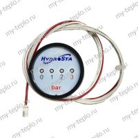 Манометр для котла Hydrosta HSG-350 SD (manomHSG350SD)